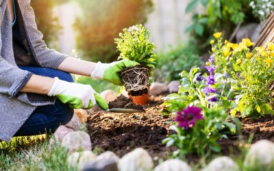 Spring Into Movement: How to Get Back Outside Without Hurting Yourself